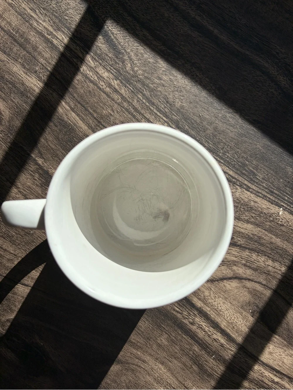 Berenstain Bears Coffee Mug